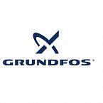 ШКАФ УПРАВЛЕНИЯ GRUNDFOS Control DC-S 2X13-16,9A DOL-ABP-I-1 97534196